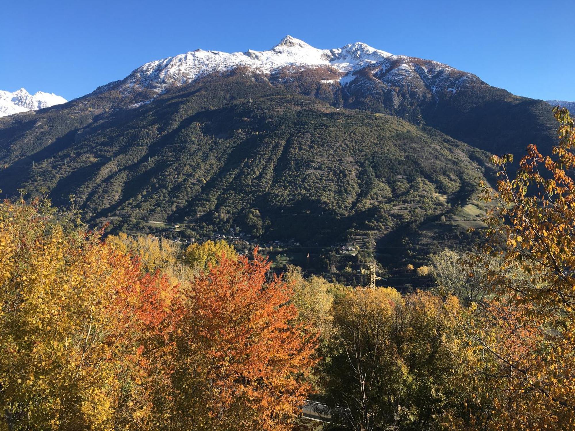 La Casa Del Bosco Lägenhet Aosta Exteriör bild