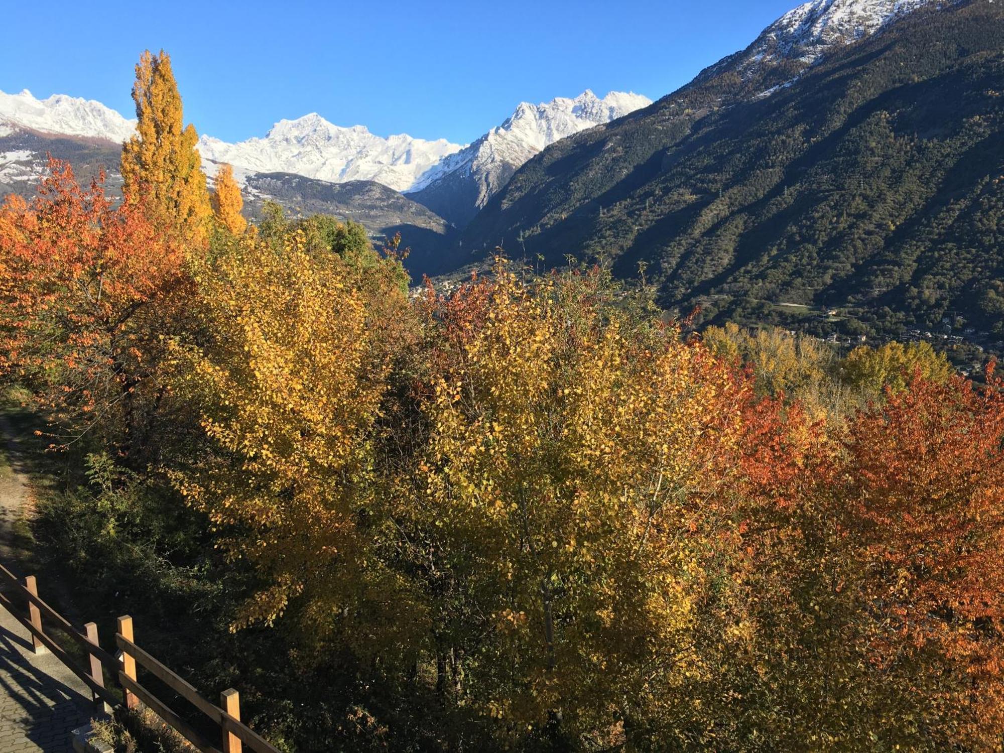 La Casa Del Bosco Lägenhet Aosta Exteriör bild